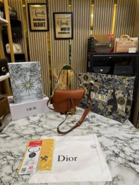 Christian diyor Saddle Crossbody Premium Quality With Double Box And Dust Bag Including Carry Bag (Brown-0447)