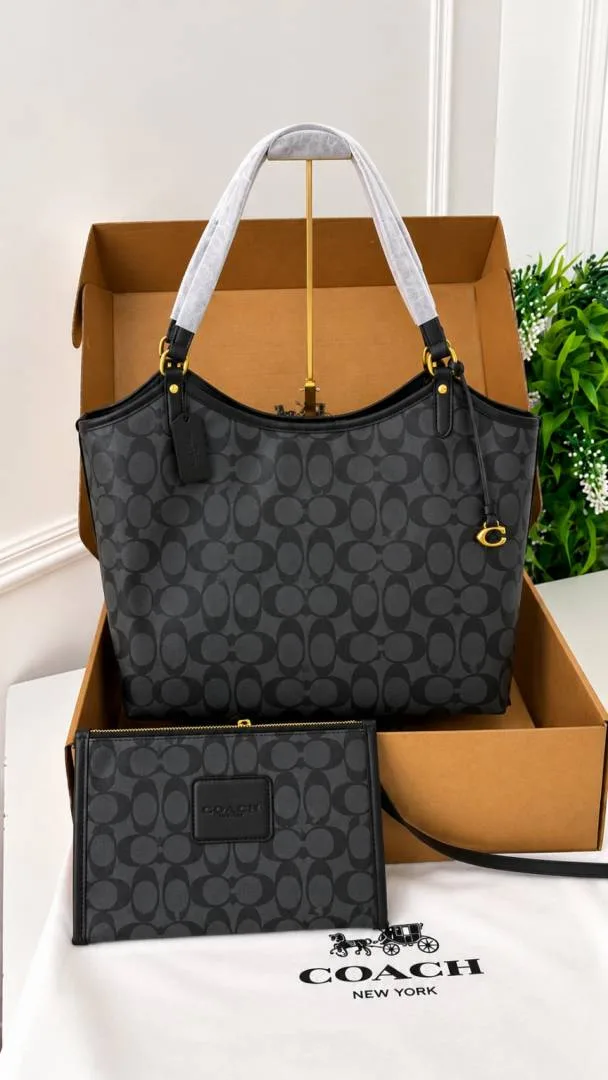 coatch fiana tote bag with khaki box 6913