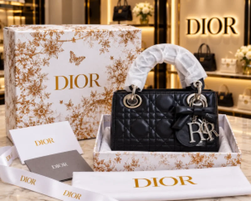 CHRISTIAN DIYOR LADY WITH BRAND BOX PACKING 5253
