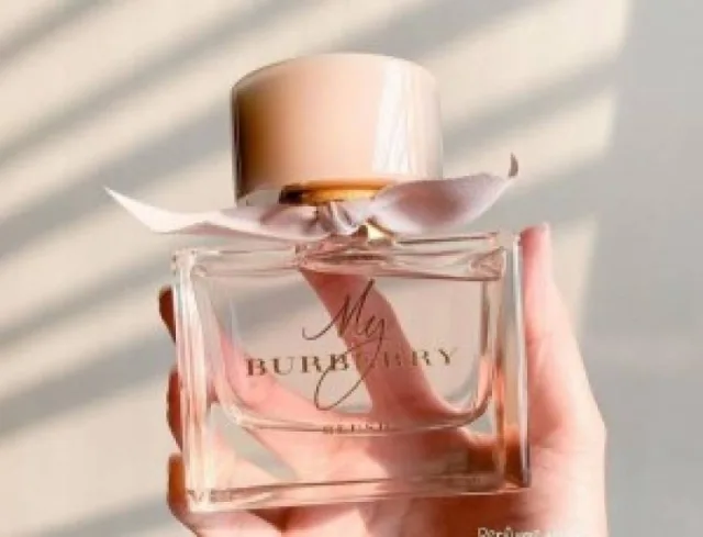 My Burberr Blush 100ML (236)