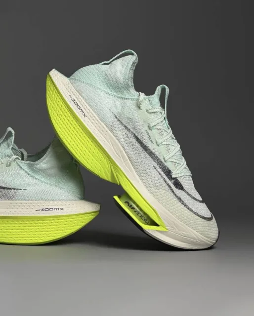 Nikkee Air Zoom Alphafly Next 2