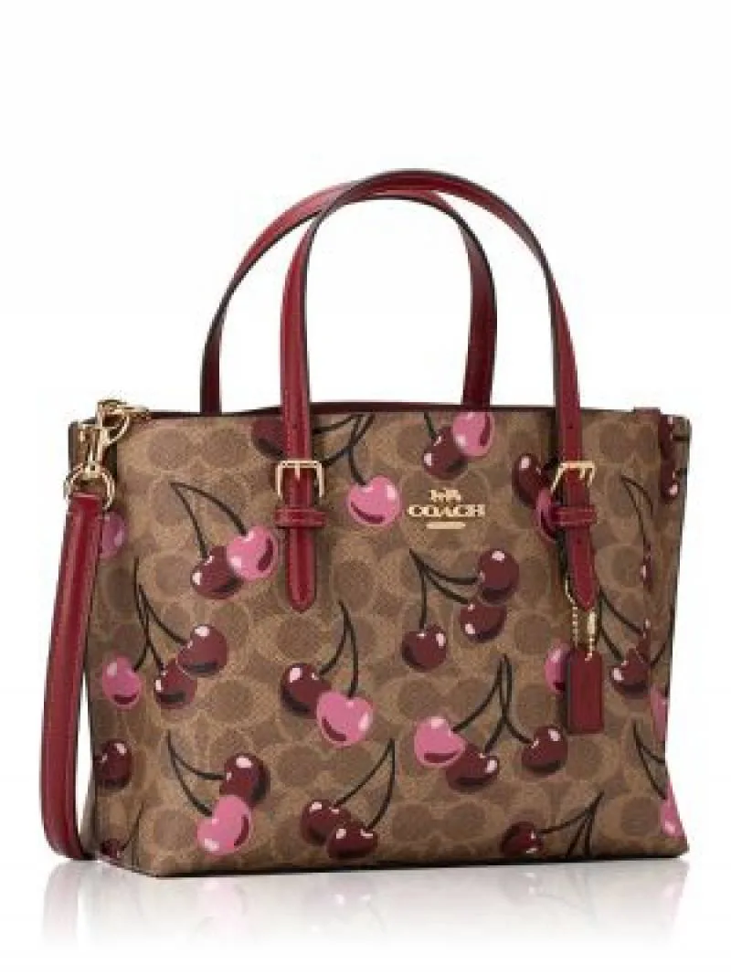 Coatch Mollie Tote Bag 25 In Signature Canvas (multi colour) with box 5180