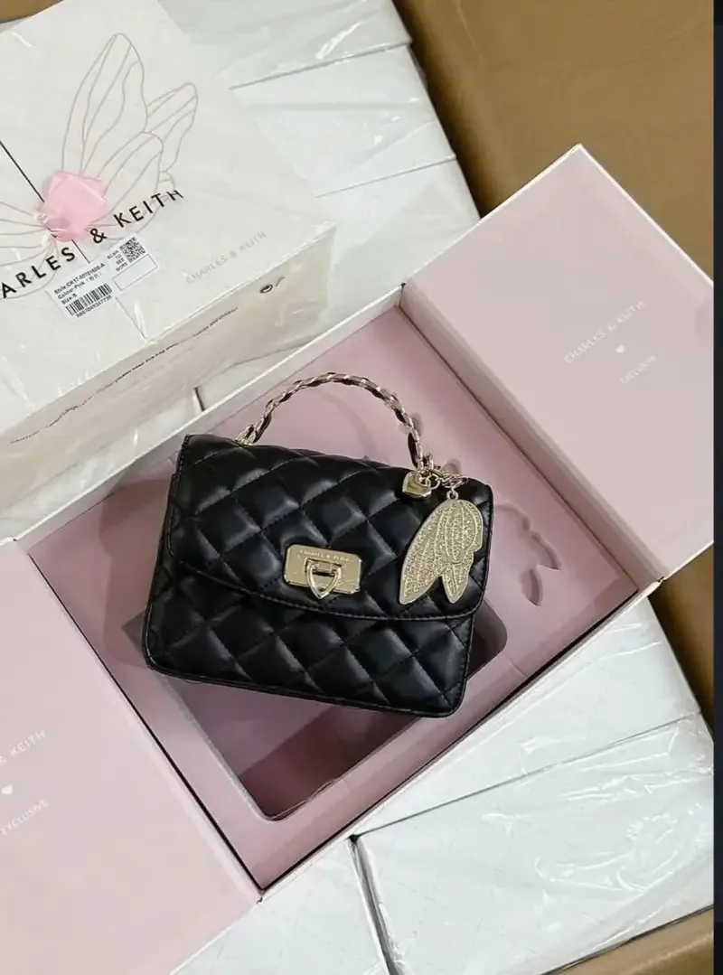 Charle_&_keith_hobo_bag_with_og_box_(black)