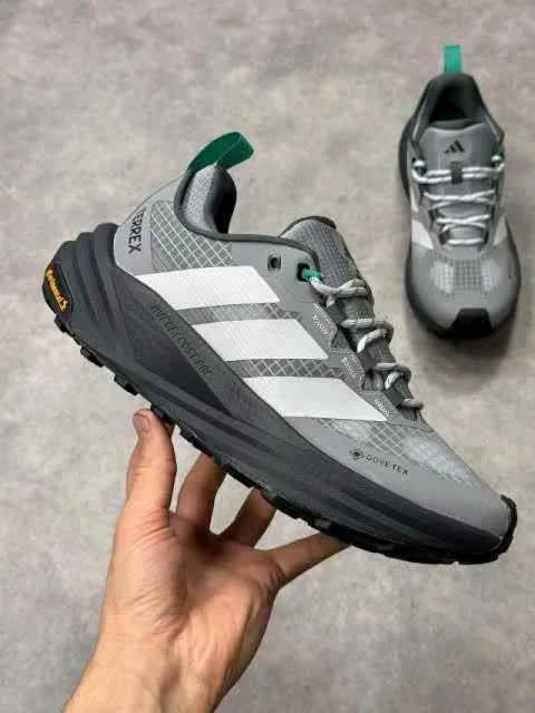 Addidas Terrex Hiker 3 Low GORETEX Grey