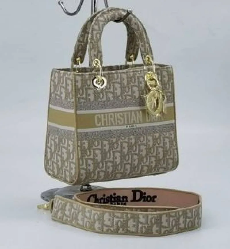 Christian_DIO_LADY_BAG_WITH_BRAND-BOX_GRY_CARRY_BAG_6753