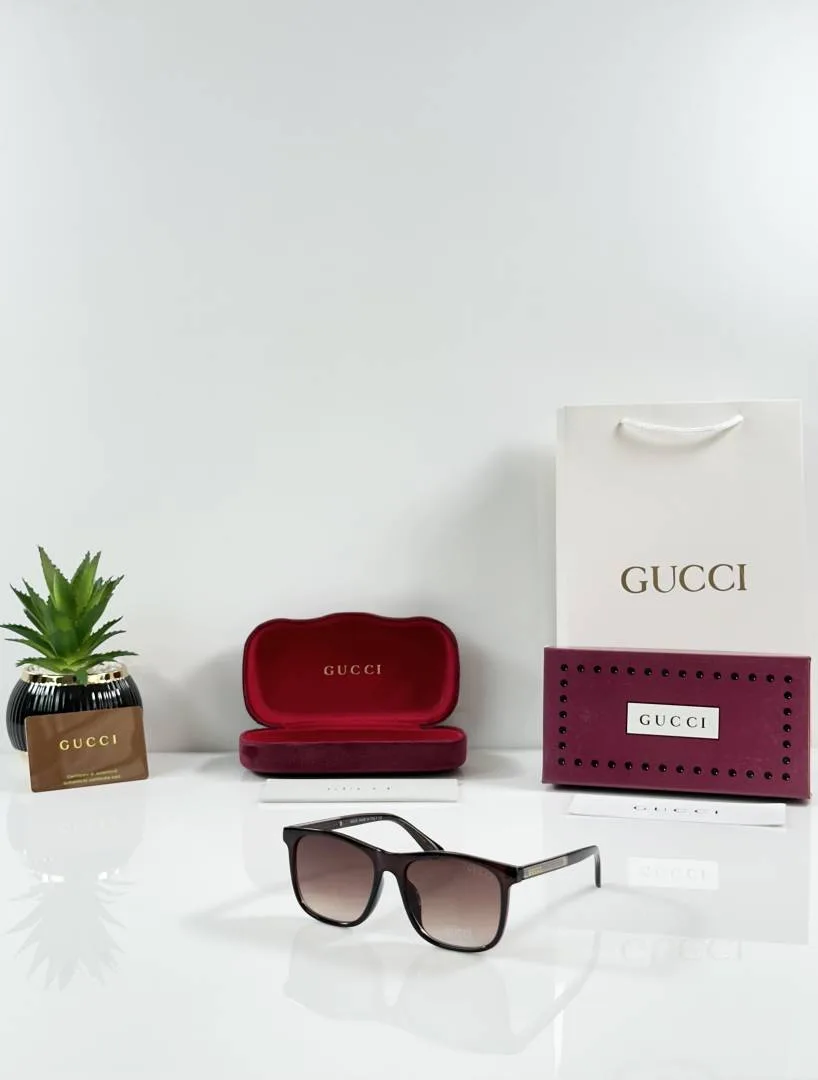 Guchi 0381 Brown