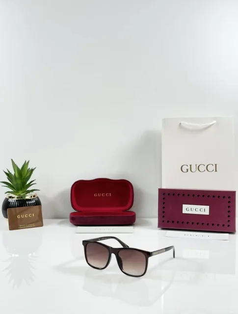 Guchi 0381 Brown