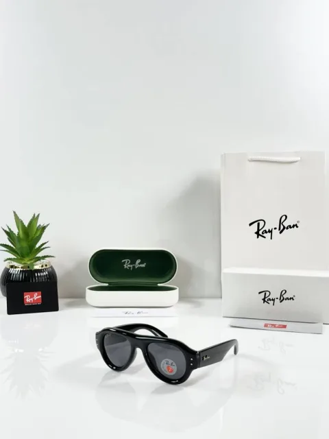 Rey ban Puffer 6832 Shine Black