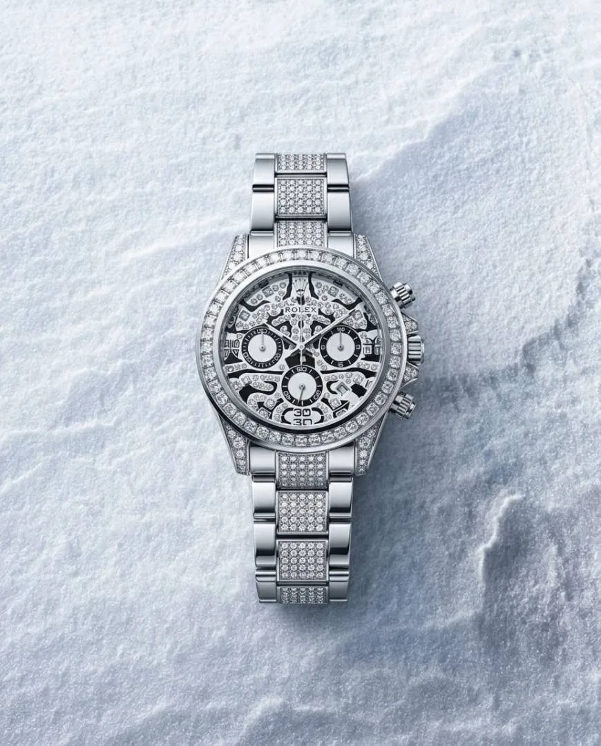 Rolee_x Oyster Perpetual Tiger Silver