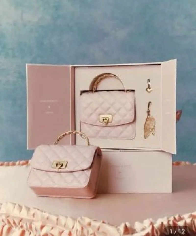 Charle & keith hobo bag with og box (pink) 5733