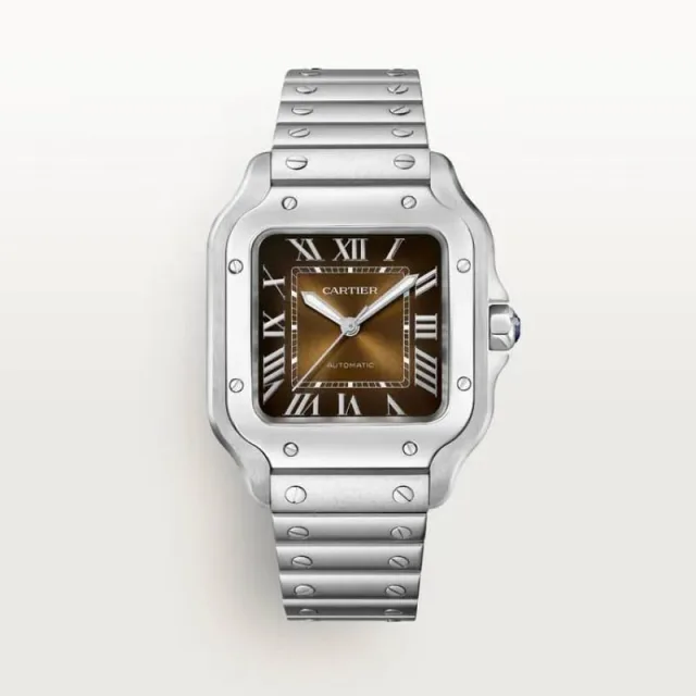 Cartiee_r Santos Automatic silver brown