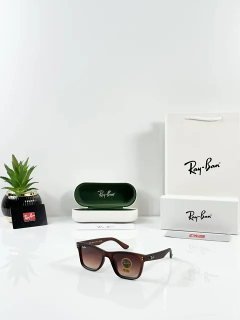 Rey ban Reverse 0502 Brown