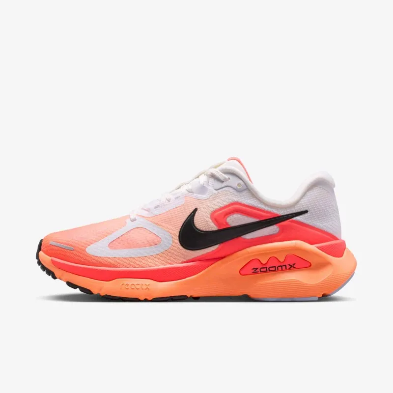 Nikkee Air Zoom Structure Plus 739